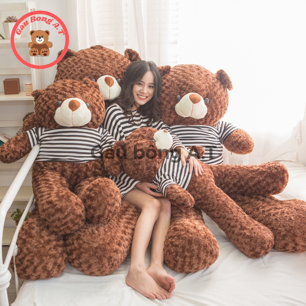 [HOT] Gấu Bông Teddy - Thú nhồi Bông Teddy Siêu To Màu Nâu Đậm _ size 90cm-1m8 _ Gấu Bông A.T _AT001