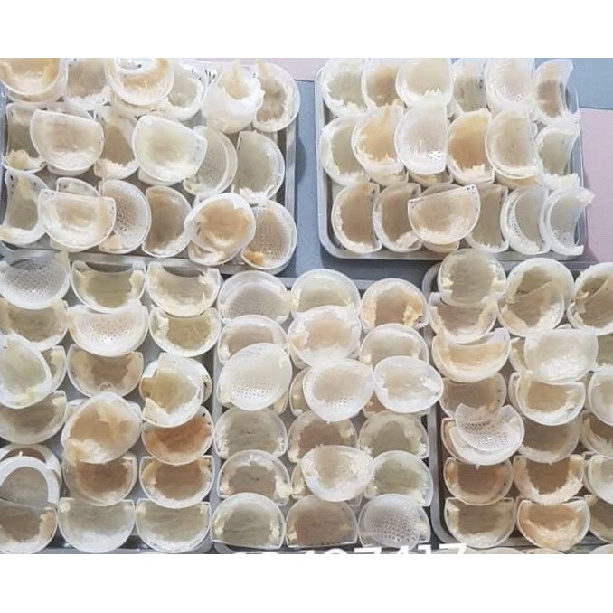 [Mã GROSALE2703 giảm 8% đơn 250K] [RẺ VÔ ĐỊCH] TỔ YẾN SÀO VỤN SƠ MƯỚP LOẠI LỚN YẾN SÀO KHÁNH HOÀ+ SET CUNG ĐÌNH 🎁🎁🎁 | BigBuy360 - bigbuy360.vn