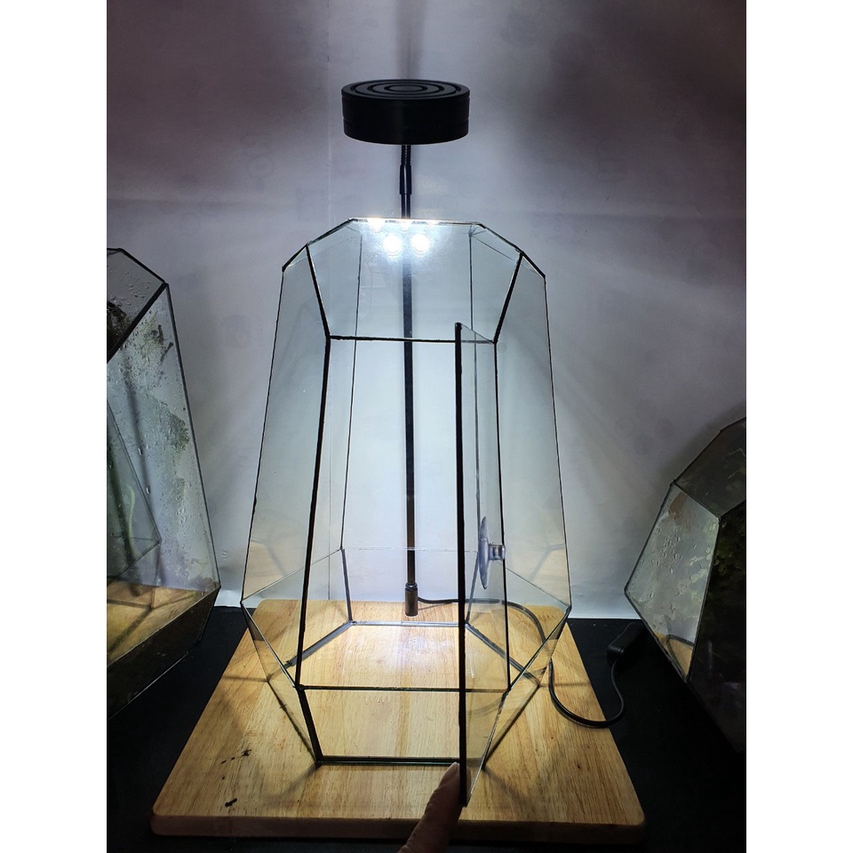 Bình thủy tinh terrarium tiểu cảnh bán cạn đa giác mẫu A2