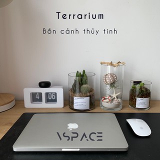 Bồn Cảnh Thủy Tinh Terrarium Cao Cấp Để Bàn - Phụ kiện tiểu cảnh phong thủy trang trí bàn làm việc