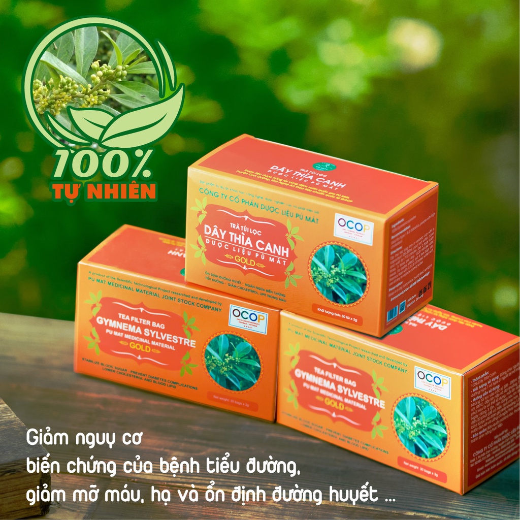 Trà túi lọc Dây Thìa Canh Dược liệu Pù Mát hỗ trợ người tiểu đường 90g