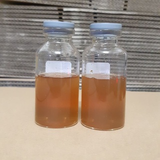 (Thủ Đức) Gum Arabic - Paul Rubens 15ml