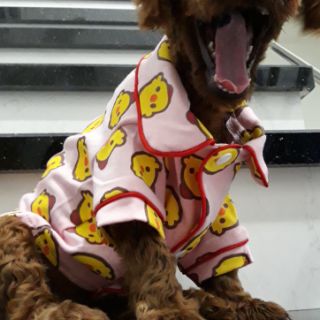 Pijama dành cho boss [QUẦN ÁO THÚ CƯNG]