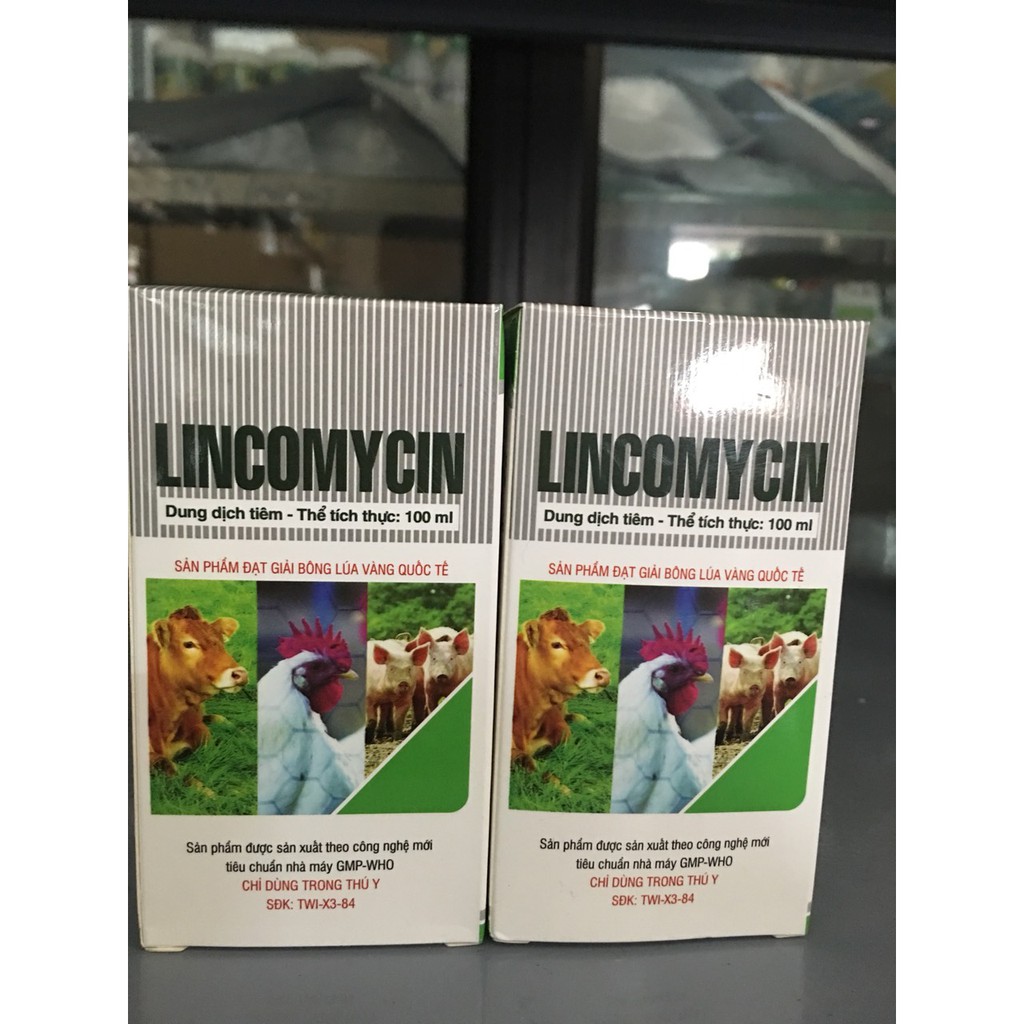 LINCOMYCIN 10% (100ml) TW1 - chỉ dùng trong thú y