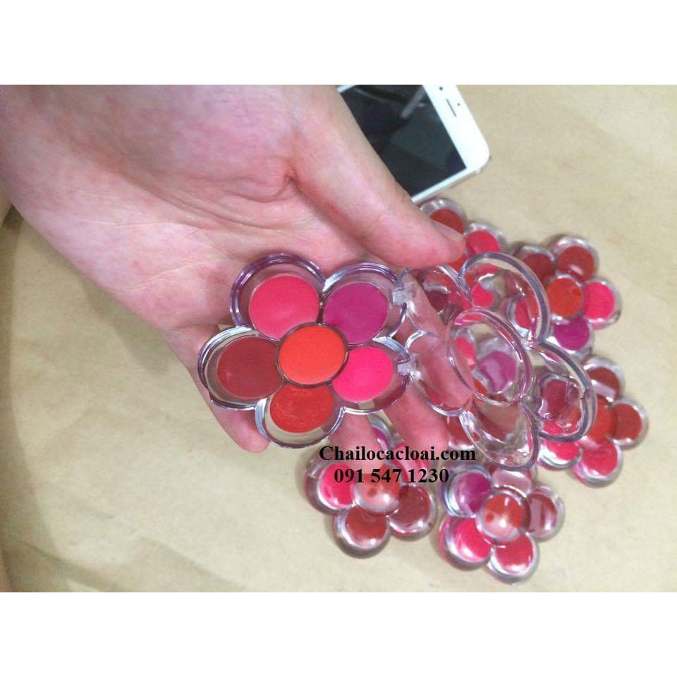 Vỏ son hoa handmade 6 ô (vỏ trơn dùng làm son hoặc phấn mắt)