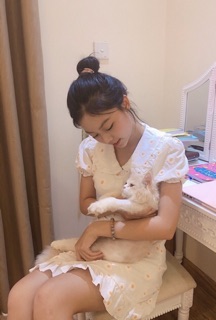 Đầm Xoè Hoa Cúc Nổi Cổ Bèo
