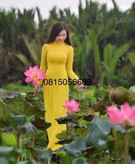 Áo dài trơn vàng cúc
