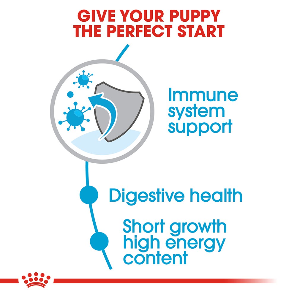 [10kg] Hạt Royal Canin Maxi Puppy Cho Chó Con Giống Lớn