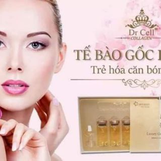 Tế bào gốc Dr Cell