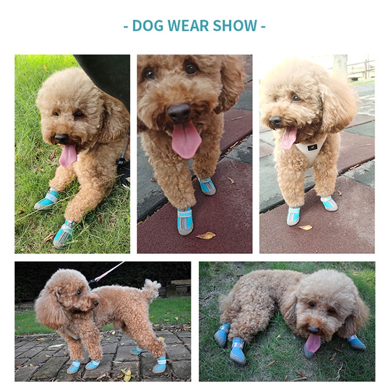 HamshMoc Giày bốt cổ cao thoáng khí chống trượt cho thú cưng