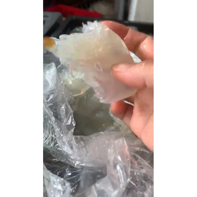 ỊNHg CHÂN SỨA KHÔ ĂN LIỀN - ĐẶC SẢN QUẢNG NINH | BigBuy360 - bigbuy360.vn