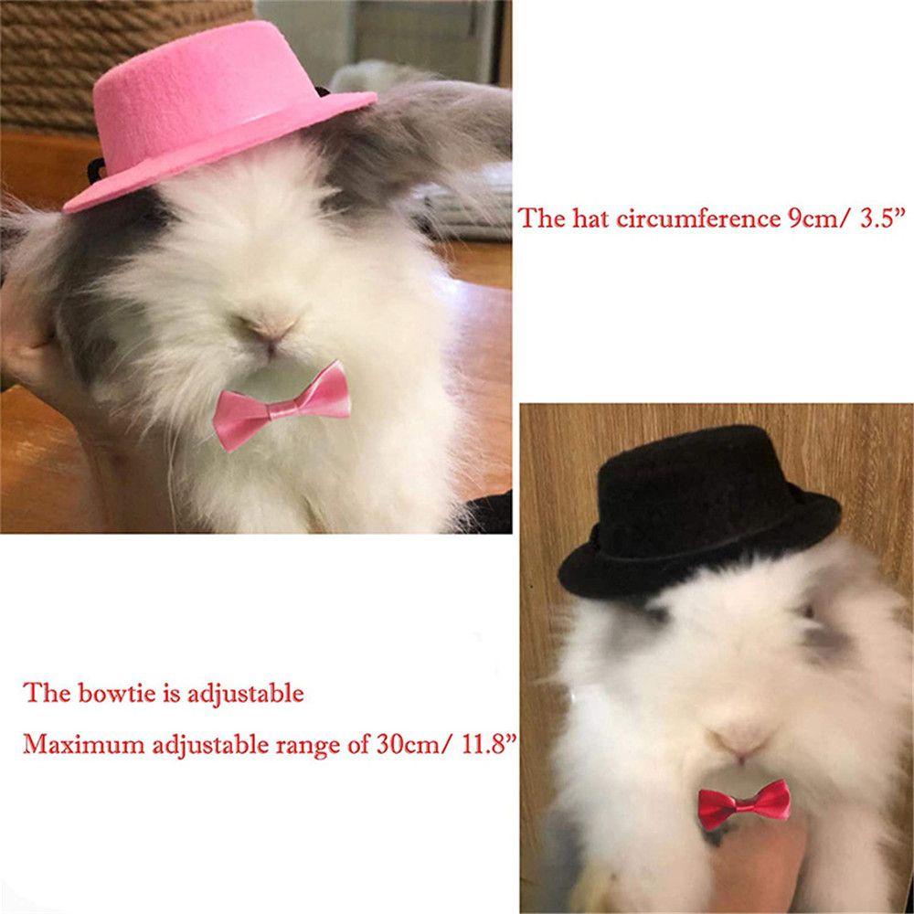 Nơ Cài Đầu Cho Chuột Hamster Đáng Yêu
