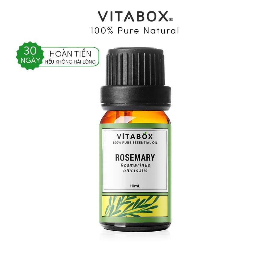 Vitabox - Tinh Dầu Hương Thảo (Rosemary) - 100% Thiên Nhiên Nguyên Chất