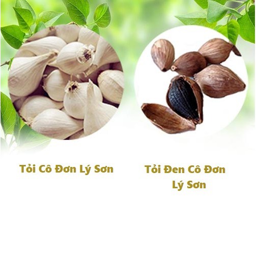 Tỏi Đen Cô Đơn Lý Sơn - Vương Quốc Tỏi - túi 150g, quà tặng sức khoẻ | BigBuy360 - bigbuy360.vn