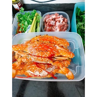 Hộp trữ đông dẹt Tupperware 650ml