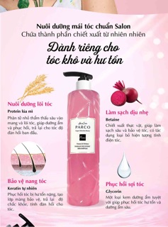 COMBO GỘI - DƯỠNG PHỤC HỒI GIÚP TÓC CHẮC KHỎE PARCO
