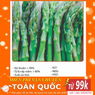 [TOP] Hạt Giống Măng Tây Xanh F1 - 10 Hạt [ Tặng Kèm 1 Viên Nén Xơ Dừa ]