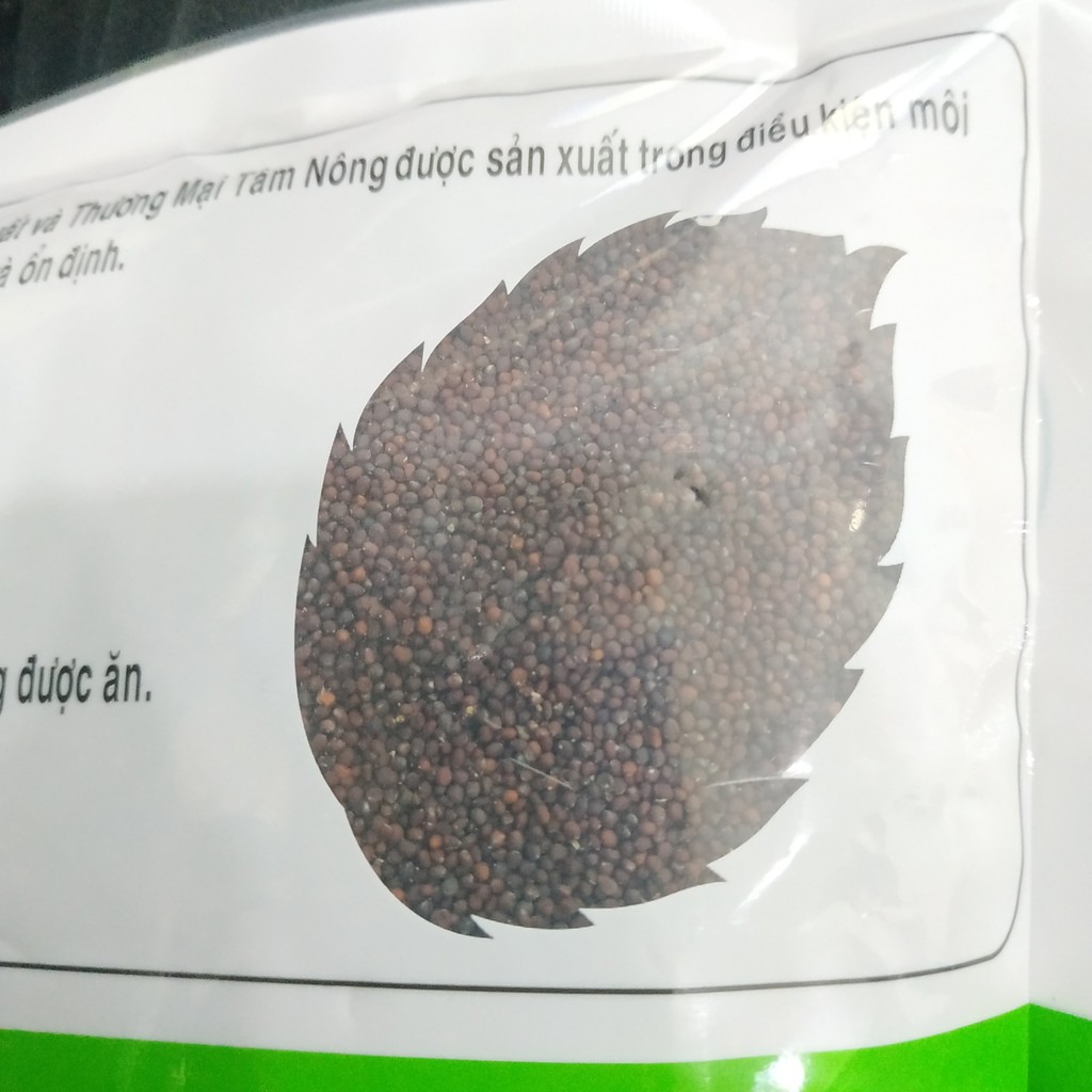 Hạt Giống Rau Mầm Bông Cải Xanh Italia Dễ Trồng, Rau Sạch, Giảm Tiểu Đường, Đẹp Da, Giúp Xương Chắc Khỏe