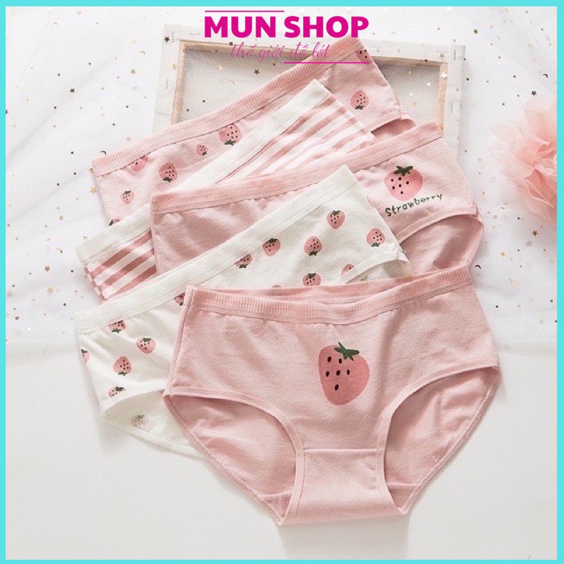 QUẦN LÓT COTTON QUẢ DÂU TRƠN