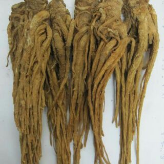 Sỉ giá gốc củ sâm đương quy 100g - 200g - 300g