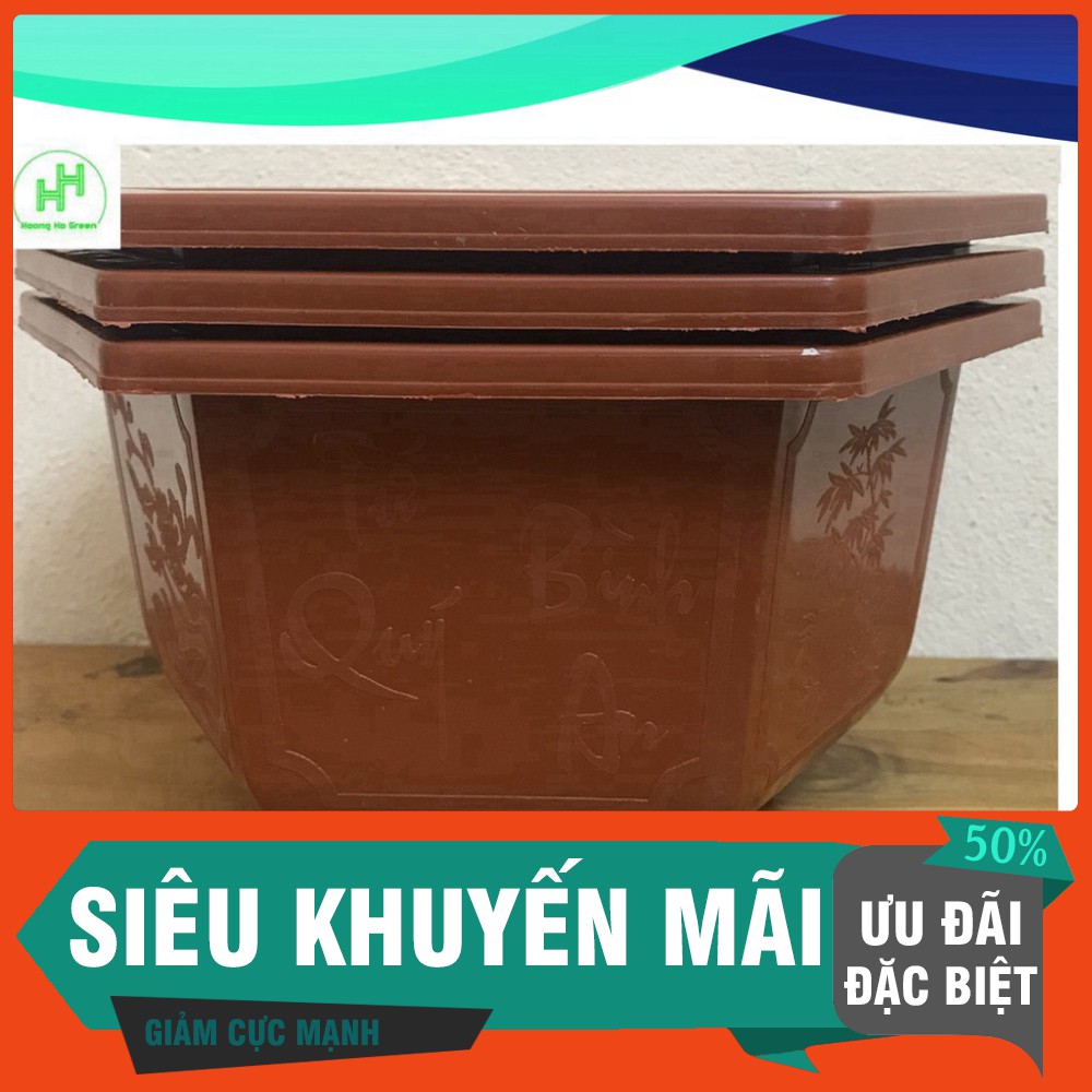 (Siêu Khuyến Mãi) 3 Châu Nhựa Bonsai Lục Giác Bình Thuận 250x150 Trồng Hoa, Cây Cảnh,