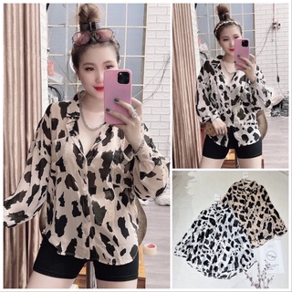 Áo sơ mi voan cánh dơi bò sữa Lovi