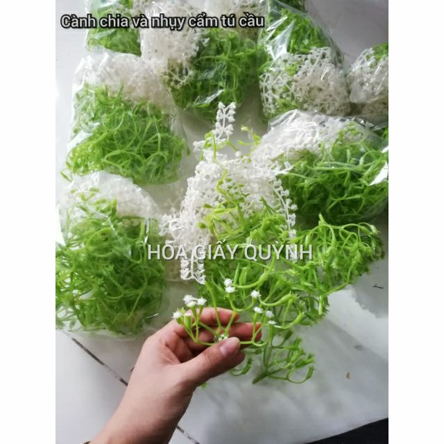 100 gr Cành chia + nhụy tú cầu