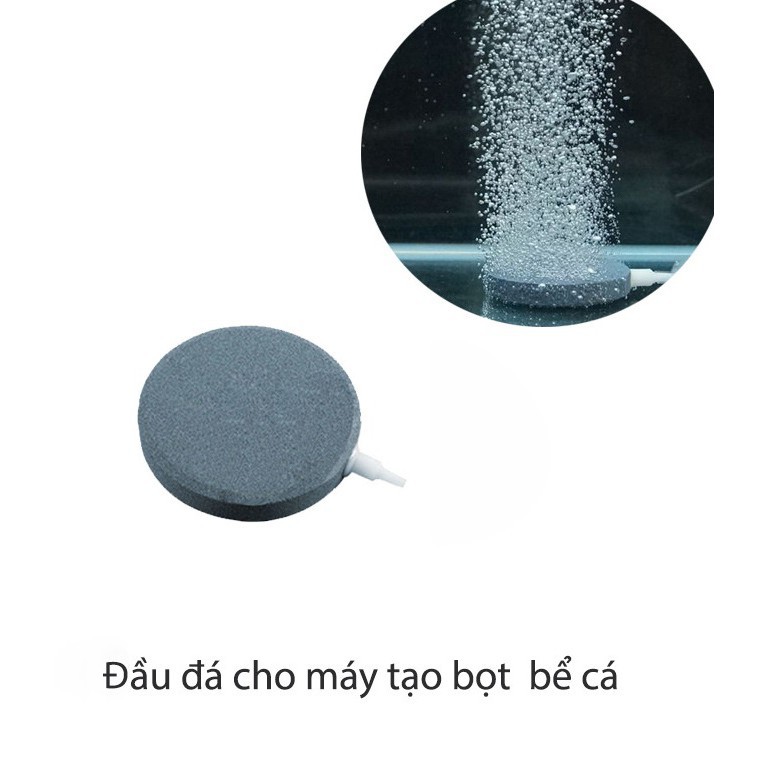 Đĩa sủi khí loại lớn đường kính 80mm Dành cho bể cá cảnh, hồ cá cảnh