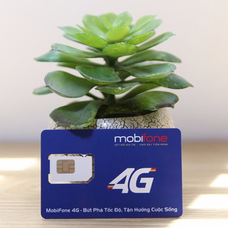 Sim 4G không giới hạn