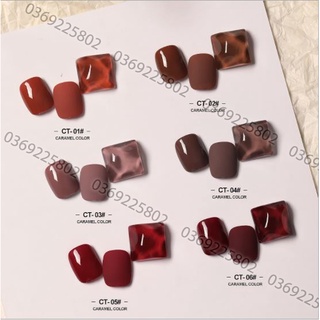 Sơn gel AS 6 màu Caramel mã CT chọn lẻ chai 15ml