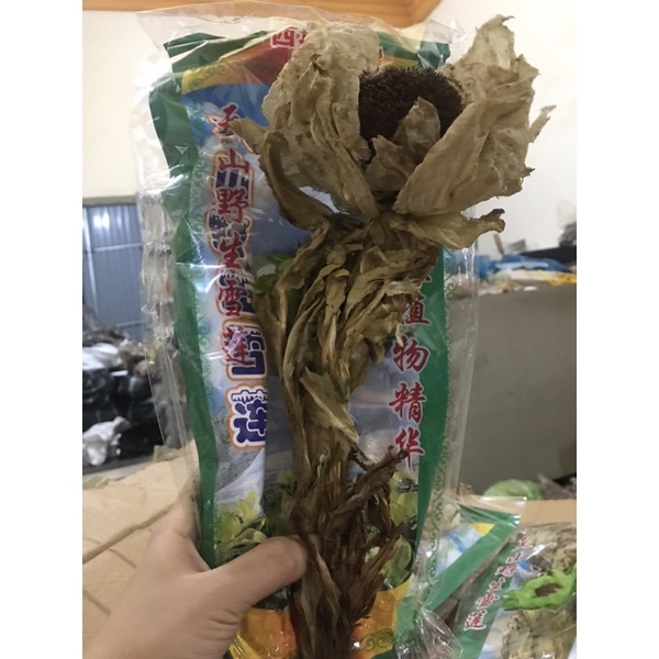 THIÊN SƠN TUYẾT LIÊN HOA 1 BÔNG