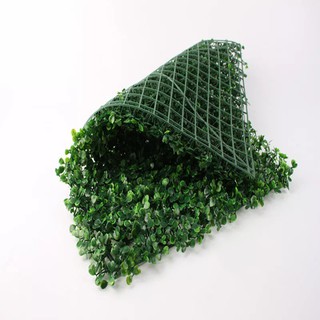 Thảm cỏ Xoong (60x40)
