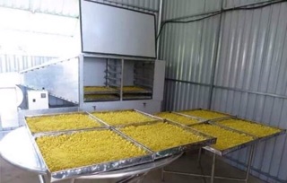 Tinh bột nghệ nguyên chất nhà làm