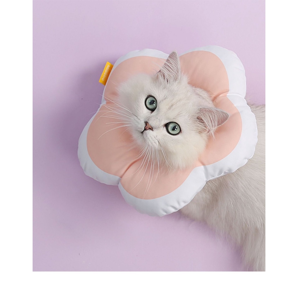 [HCM] Vòng cổ chống liếm hình bông hoa dành cho chó mèo, cho thú cưng siêu đáng yêu