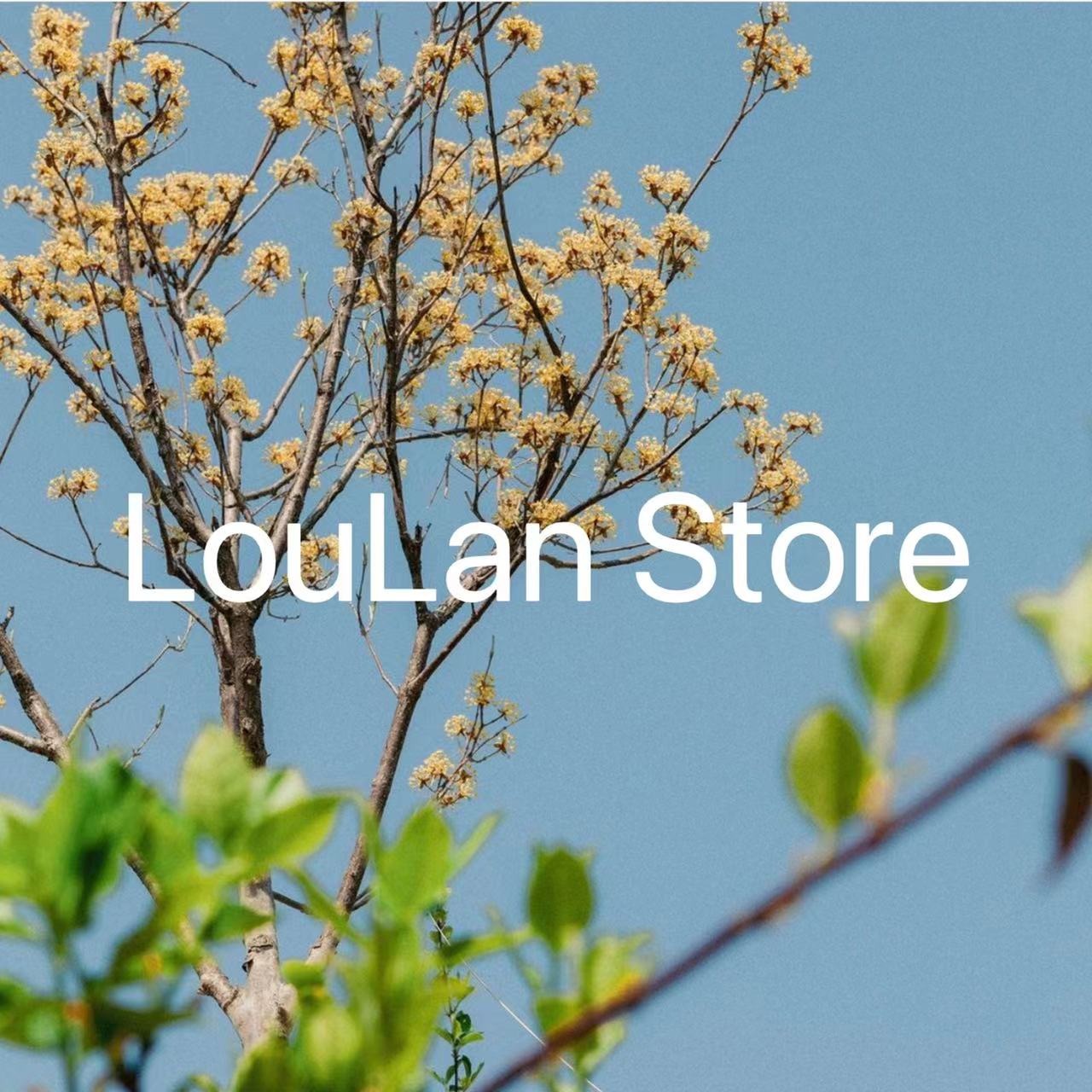 LOULAN, Cửa hàng trực tuyến | BigBuy360 - bigbuy360.vn