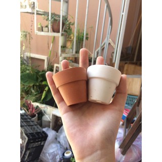 Chậu Đất Nung Mini 5cm