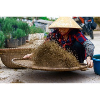BỘT HẠT MÙI TÚI LỌC