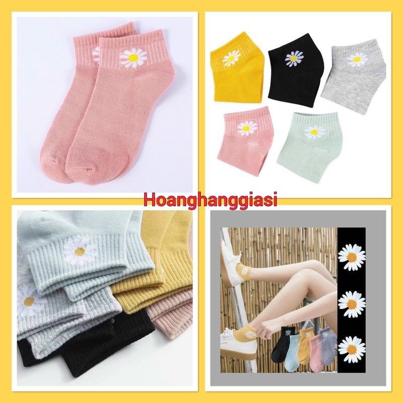 🌈𝐆𝐈𝐀́ 𝐗𝐔̛𝐎̛̉𝐍𝐆💢 com bo 10 đôi tất hoa cúc , vớ hoa cúc