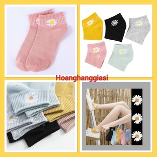 🌈𝐆𝐈𝐀́ 𝐗𝐔̛𝐎̛̉𝐍𝐆💢 com bo 10 đôi tất hoa cúc , vớ hoa cúc