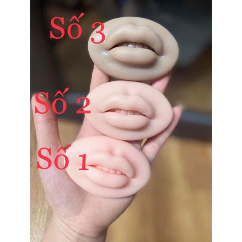 Môi silicol 5D học phum xăm thẩm mỹ