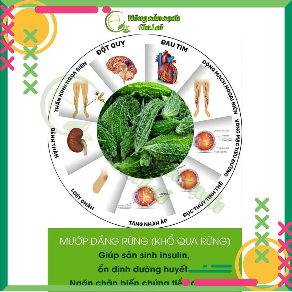 Cây khổ qua rừng (mướp đắng rừng), sản phẩm rất tốt cho sức khỏe | BigBuy360 - bigbuy360.vn