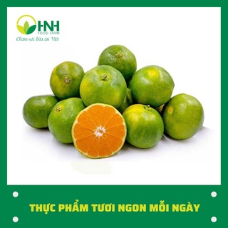 [CHỈ GIAO HÀ NỘI] Quýt đường Sài Gòn 1kg sạch chuẩn ngon, trợ giá mùa dịch - HNH Food Farm