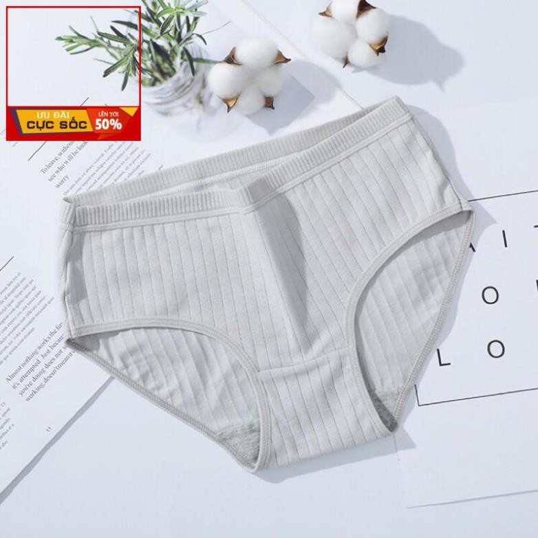 Quần Lót Cotton Tăm Gân Sọc Bản To Xuất Nhật