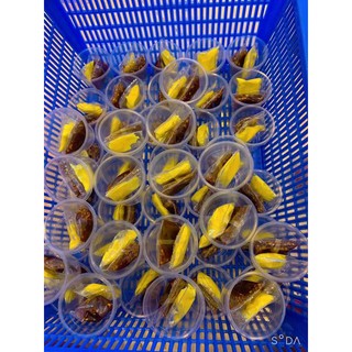 BÁNH TRÁNG PHƠI SƯƠNG CHẤM ME BƠ