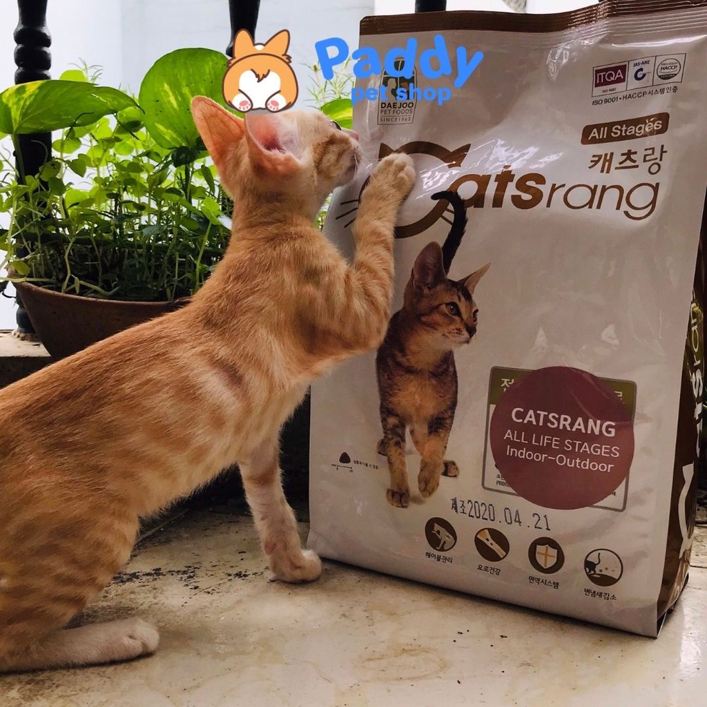 [5kg] Hạt Catsrang Cho Mèo Mọi Lứa Tuổi