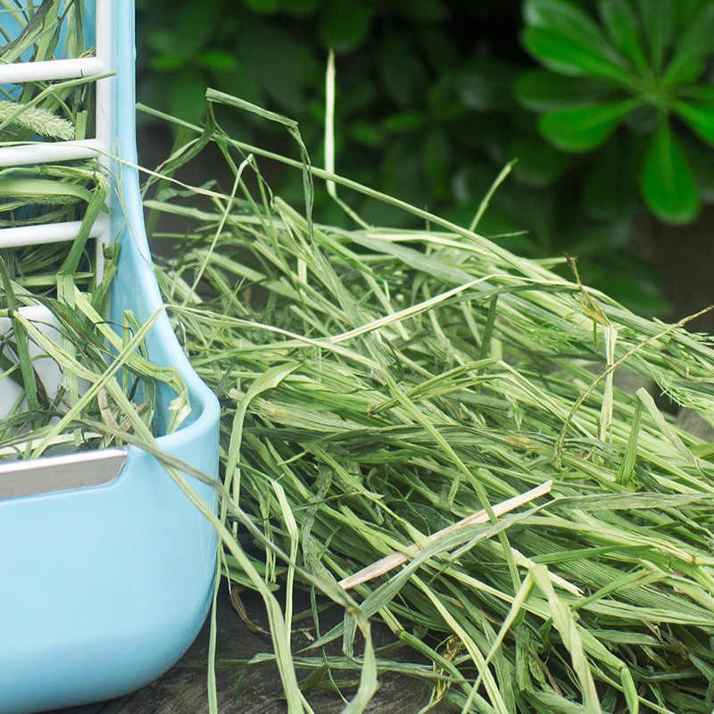 1kg cỏ alfalfa khô giàu dinh dưỡng siêu ngon cho Thỏ- Bọ Ú - guinea pig