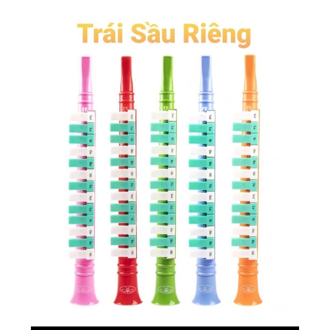 Kèn Melodion 13 phím bấm - nhạc cụ hơi phát triển tài năng