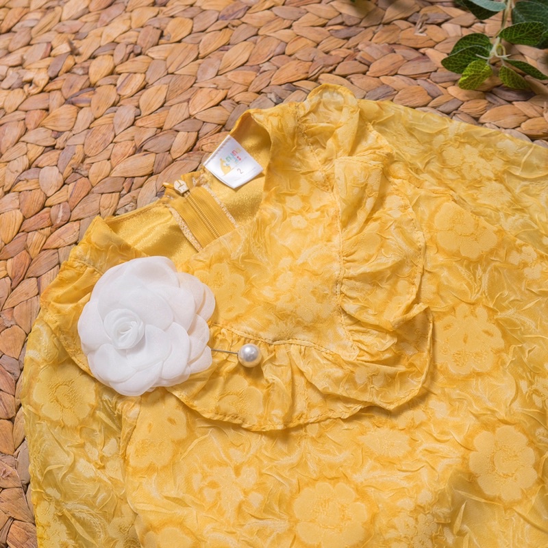 áo dài tuyết ngư