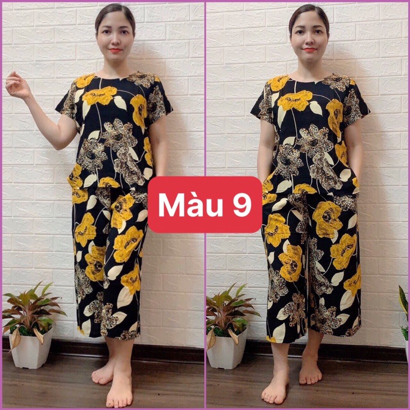 ❤️❤️BỘ LANH ĐẠI ỐNG SỚ ANH THƯ | BigBuy360 - bigbuy360.vn