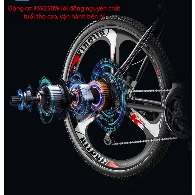 XE ĐẠP ĐIỆN ĐỊA HÌNH MTB PHOENIX 699 MOUNTAIN VÀNH ĐÚC